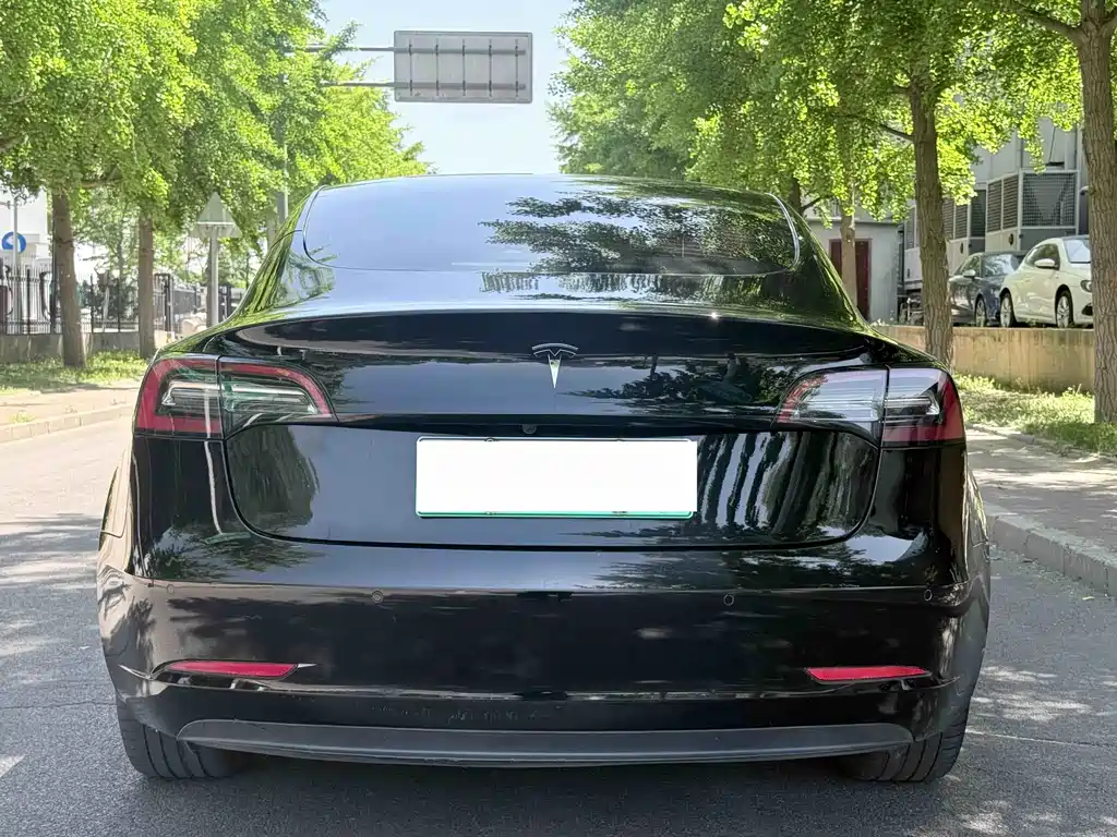 Model 3 2021 standard range rear drive upgraded version 3D6 купить на сайте DeffCars