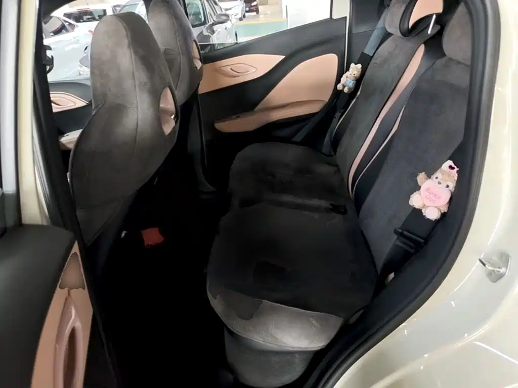 Seagull 2025 305km active version купить на сайте DeffCars