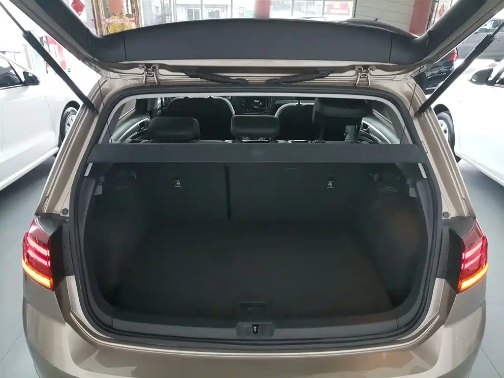 Golf 2019 1.6L automatic comfort model National V купить на сайте DeffCars