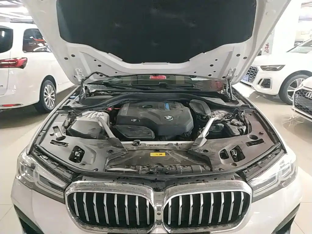 BMW 5 Series New Energy 2021 535Le M Sports Package купить на сайте DeffCars