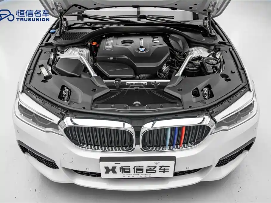 BMW 5 Series 2020 530Li Leading M Sports Package купить на сайте DeffCars