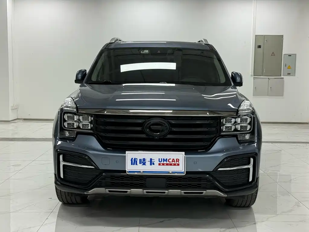 Trumpchi GS8 2020 390T two-wheel drive premium version (seven seats) купить на сайте DeffCars