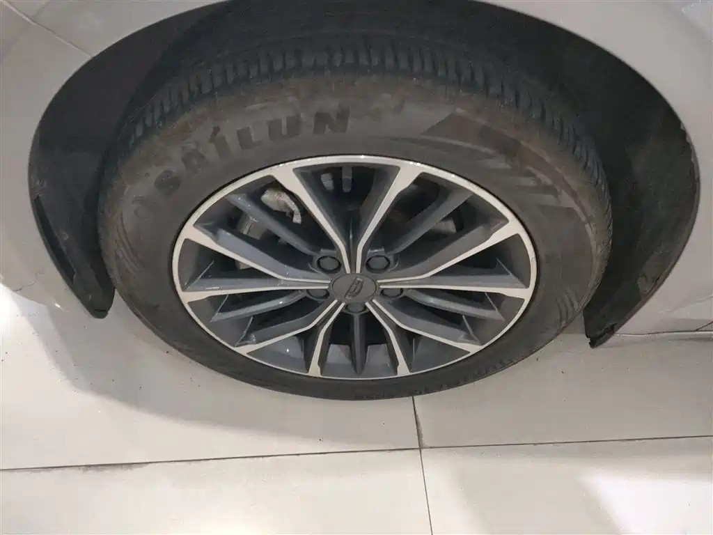 Xingrui 2023 2.0TD luxury model купить на сайте DeffCars