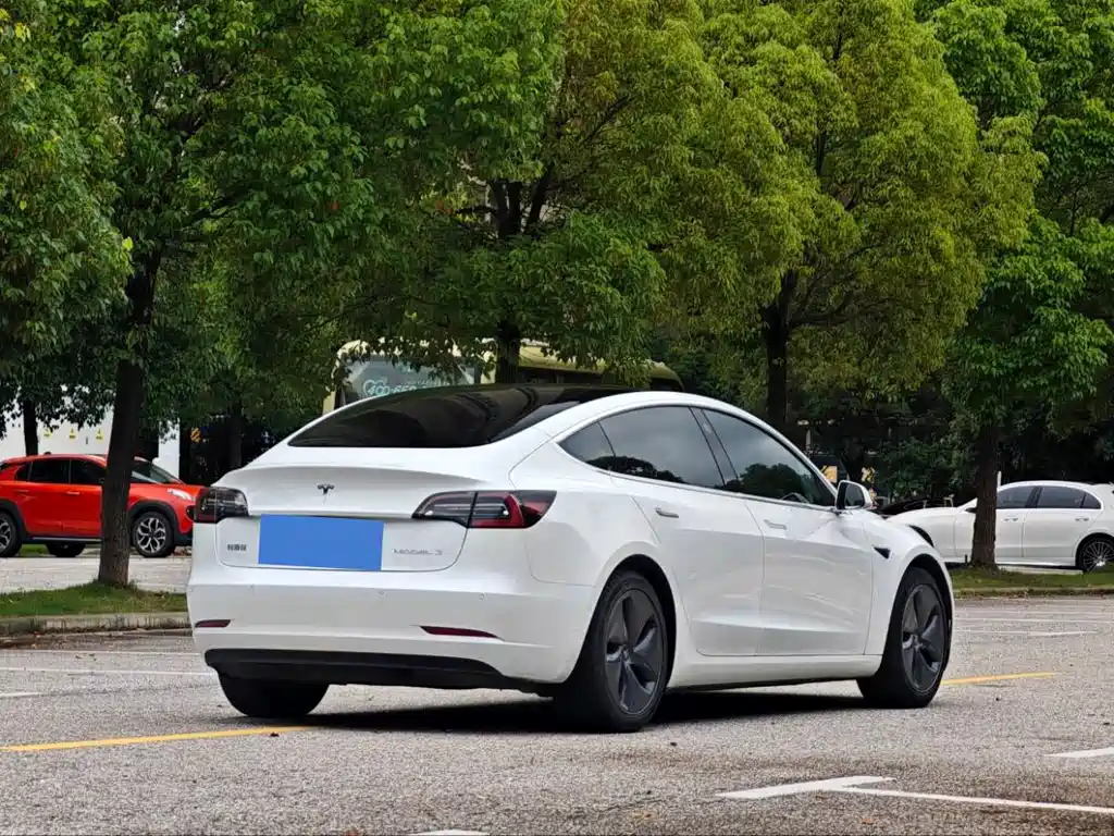 Model 3 2020 Standard Range Rear Drive Upgraded Version купить на сайте DeffCars
