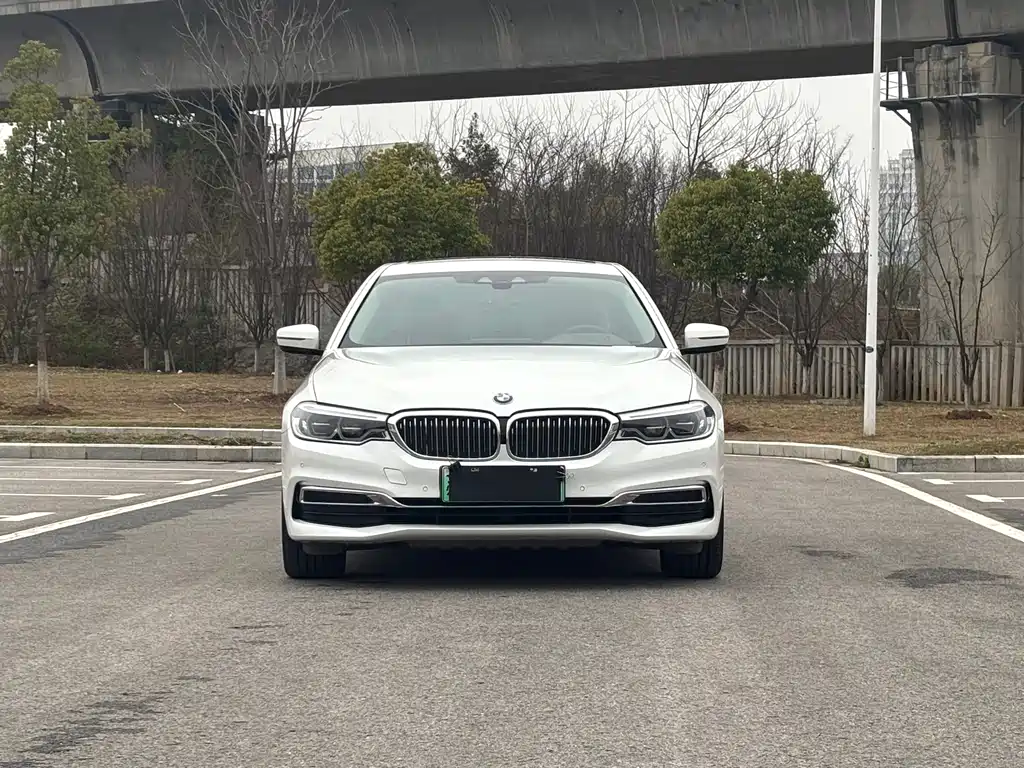 BMW 5 Series New Energy 2020 Mileage Upgraded Version 530Le Luxury Package купить на сайте DeffCars