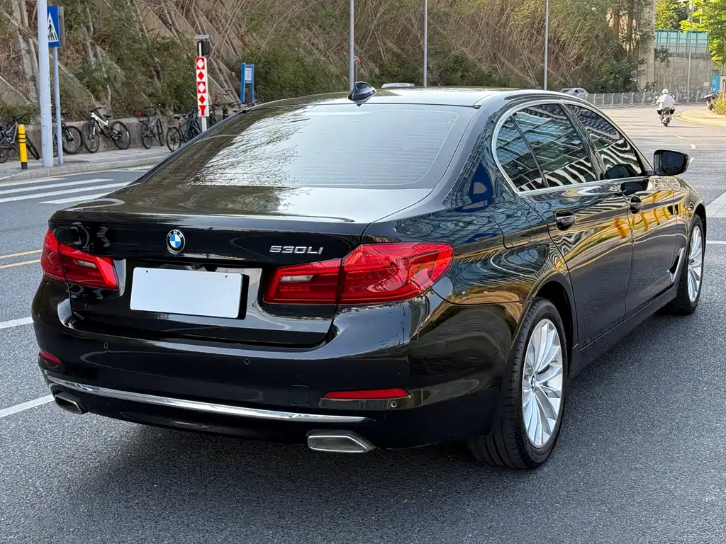 BMW 5 Series 2019 530Li Leading Luxury Package купить на сайте DeffCars