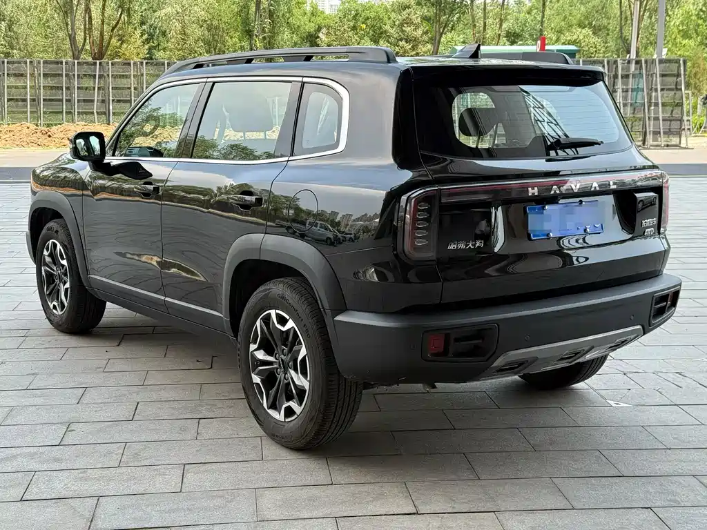 Havaldog 2024 2.0T DCT Chinese Pastoral Dog Edition купить на сайте DeffCars