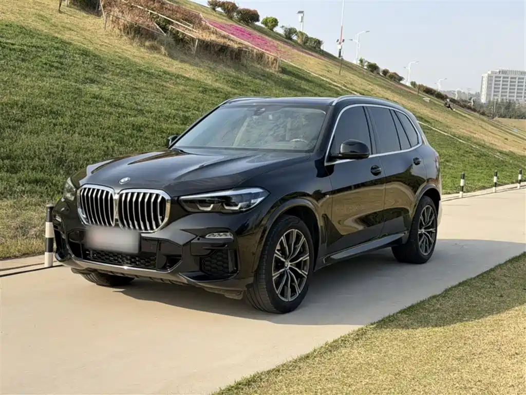 BMW X5 imported 2021 xDrive30i M sports package купить на сайте DeffCars