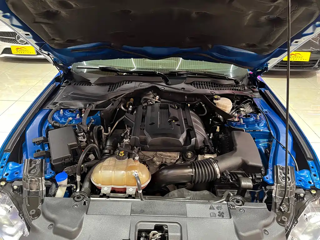 Mustang 2019 2.3L EcoBoost купить на сайте DeffCars
