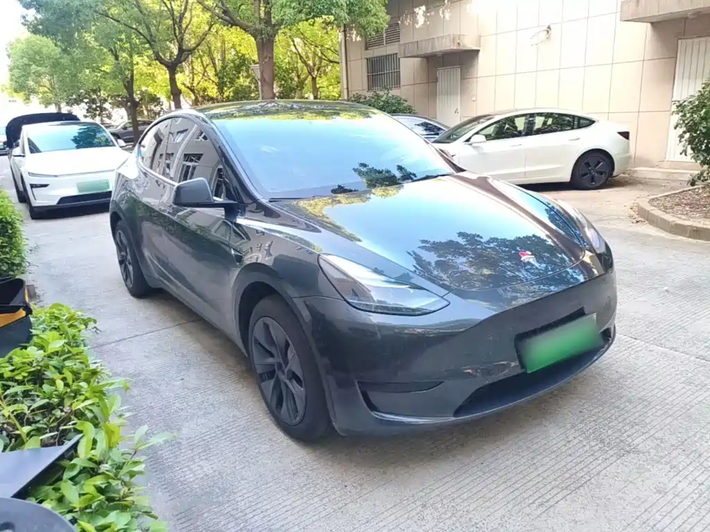 Model Y 2024 rear-wheel drive version купить на сайте DeffCars