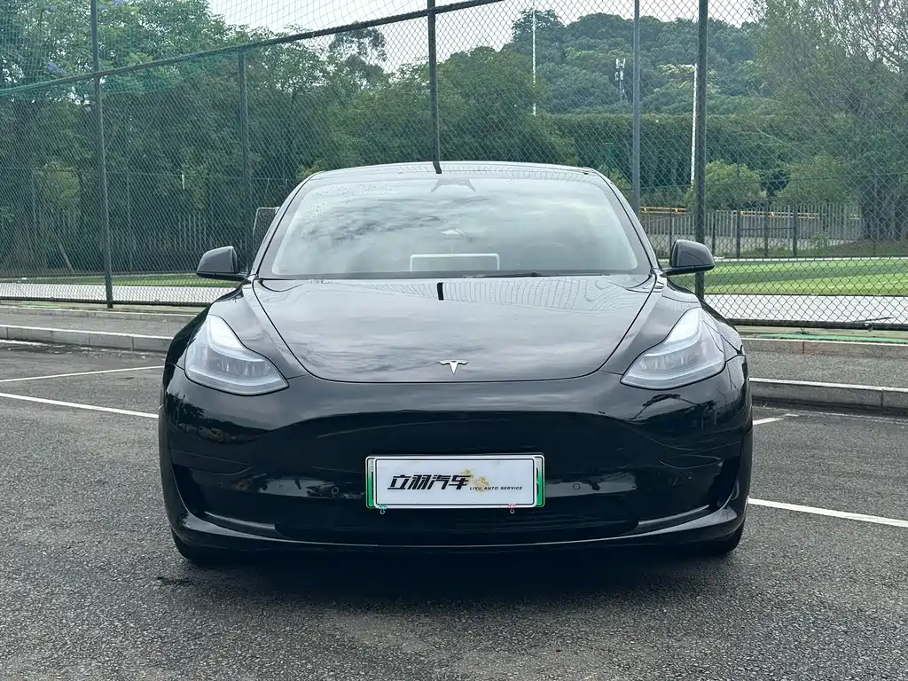 Model 3 2022 rear-wheel drive version купить на сайте DeffCars