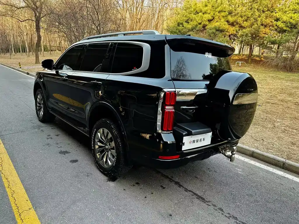 Tank 500 2023 model 3.0T sports version, environment-creating type, 5 seats купить на сайте DeffCars