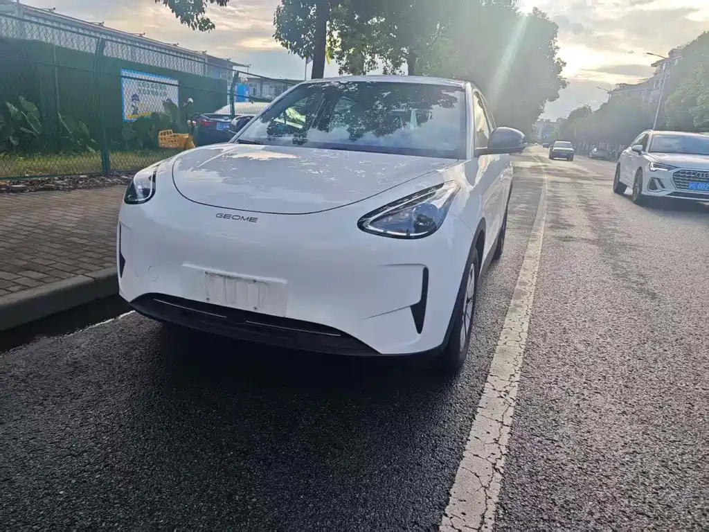 Xingyuan (Geome) 2025 310km Youth Edition купить на сайте DeffCars