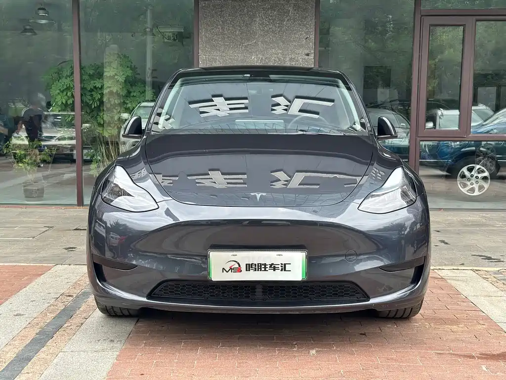 Model Y 2024 rear-wheel drive version купить на сайте DeffCars