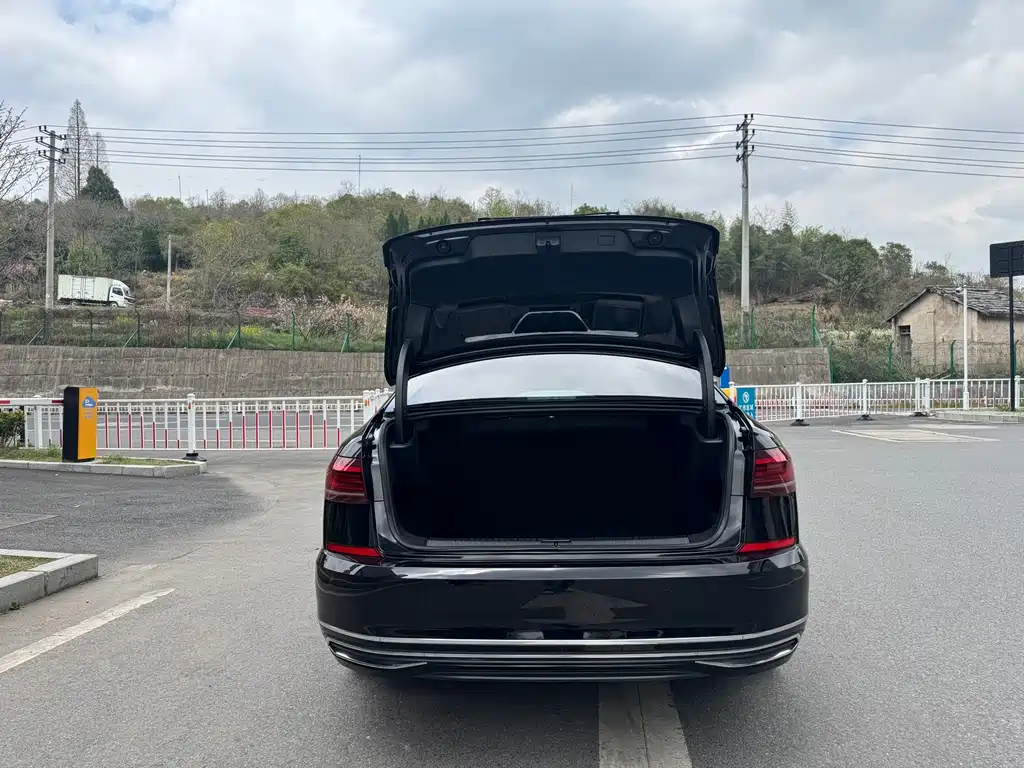 Passat 2023 330TSI Starry Sky Elite Edition купить на сайте DeffCars