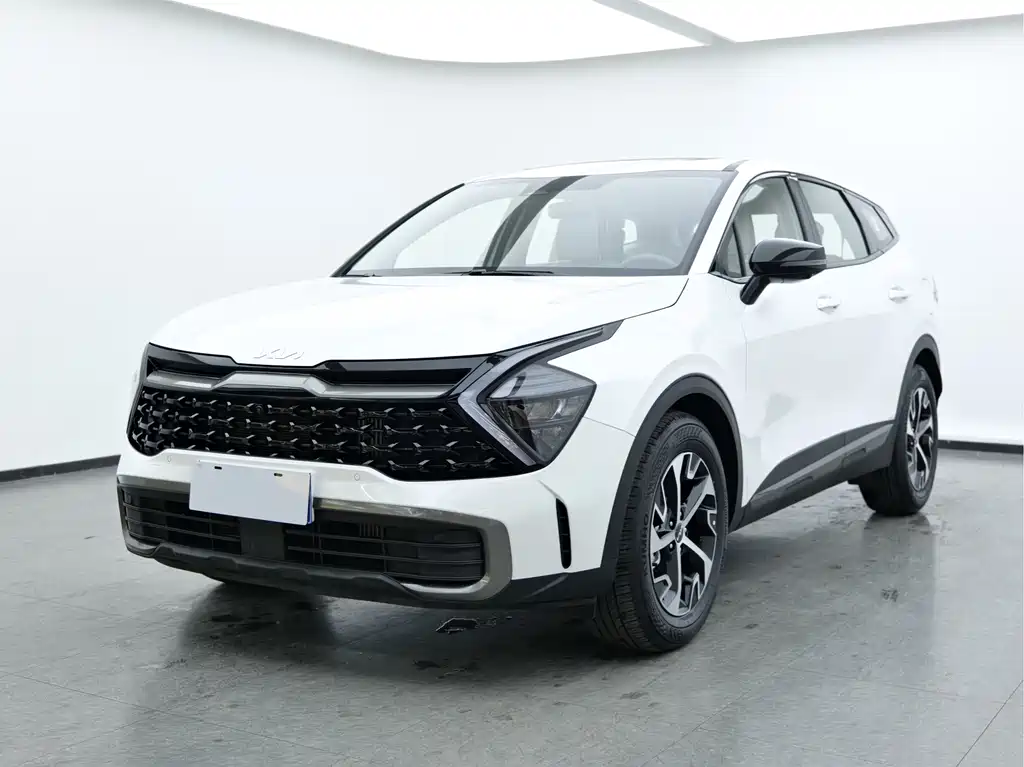 Lion Expands the World 2025 1.5T Two-wheel Drive Premium Intelligent Edition купить на сайте DeffCars