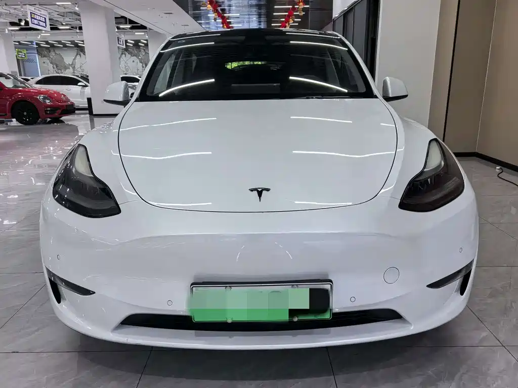 Model Y 2021 standard range rear-wheel drive version купить на сайте DeffCars