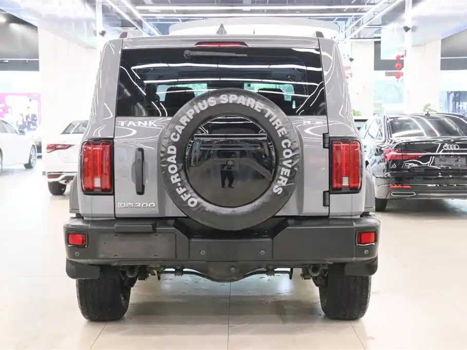 Tank 300 2021 Off-Road Version 2.0T Challenger купить на сайте DeffCars
