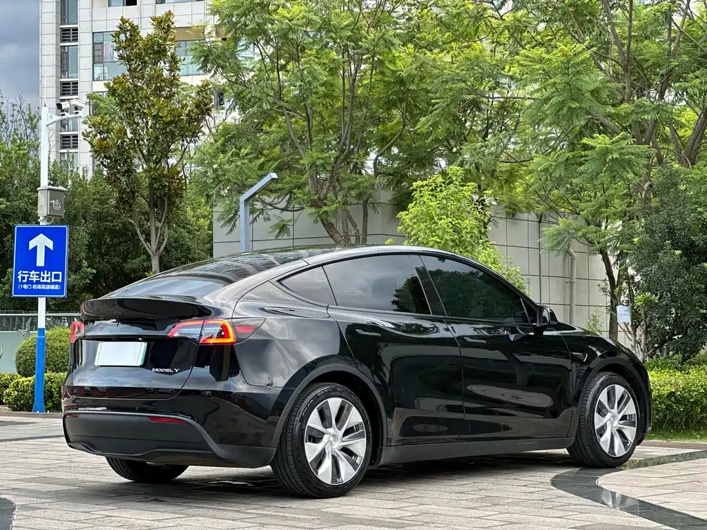 Model Y 2021 Standard Range Rear Drive Edition купить на сайте DeffCars