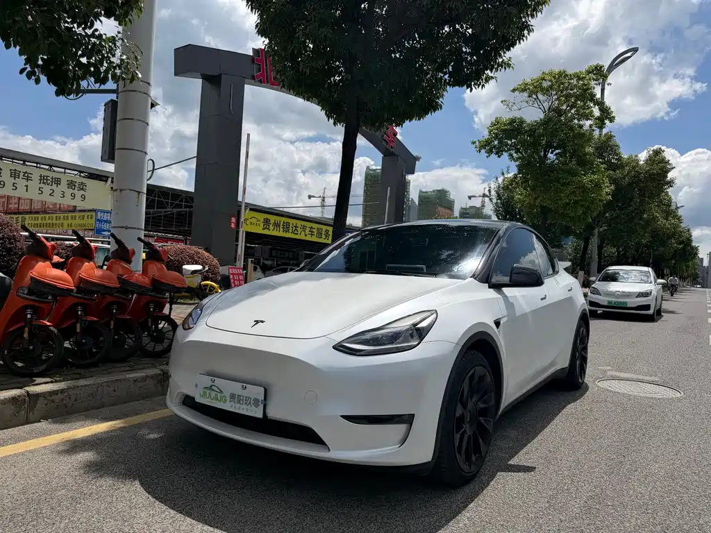 Model Y 2021 standard range rear-wheel drive version купить на сайте DeffCars