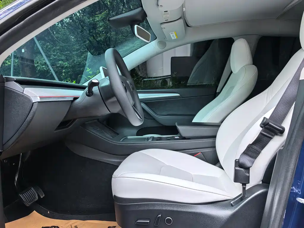 Model Y 2023 rear-wheel drive version купить на сайте DeffCars