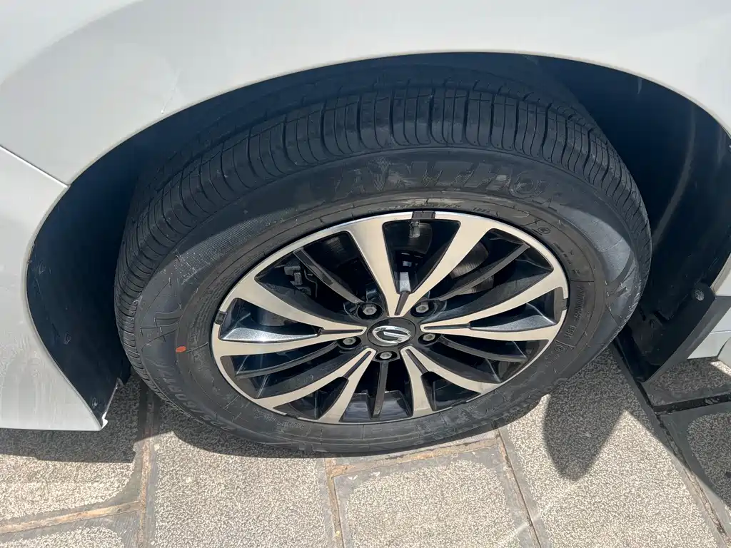 Trumpchi M8 2023 Lead Show Series 390T Exclusive Edition купить на сайте DeffCars