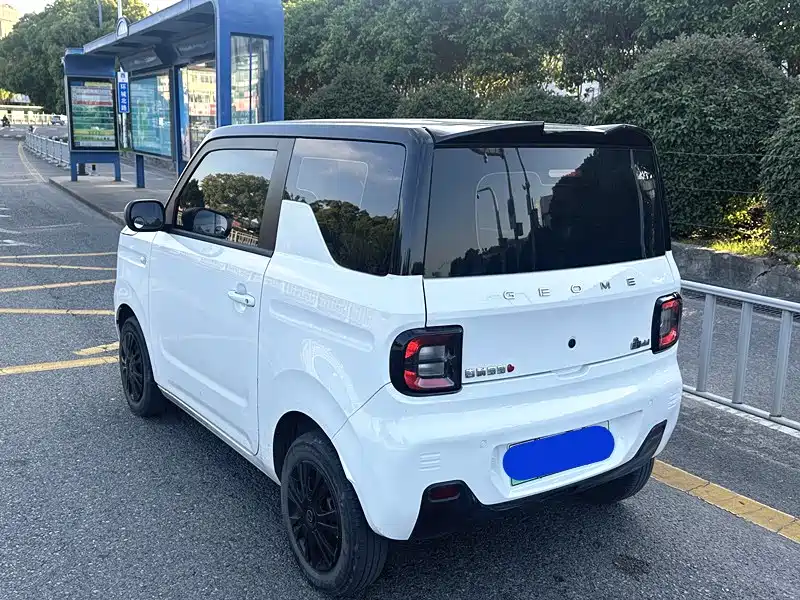 Panda 2023 Panda mini 200km endurance bear купить на сайте DeffCars