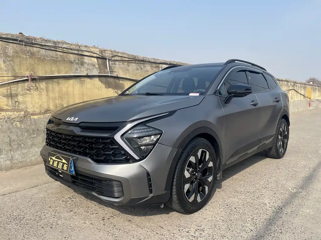 Lion Platinum expands the world 2023 2.0T two-wheel drive flagship version купить на сайте DeffCars
