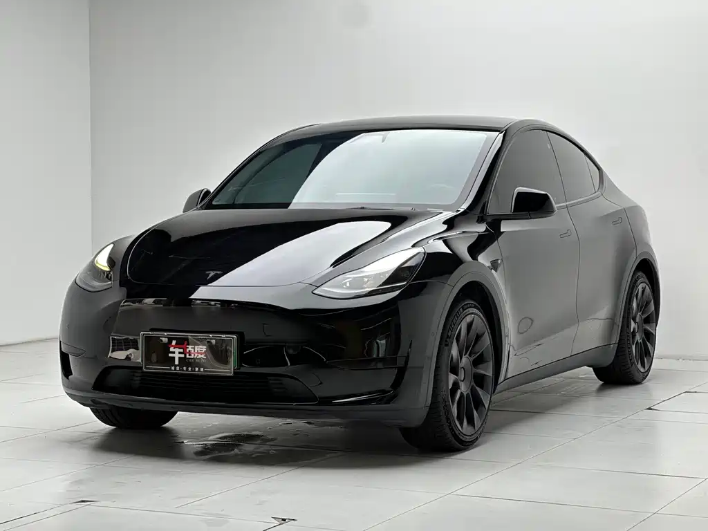 Model Y 2022 rear-wheel drive version купить на сайте DeffCars