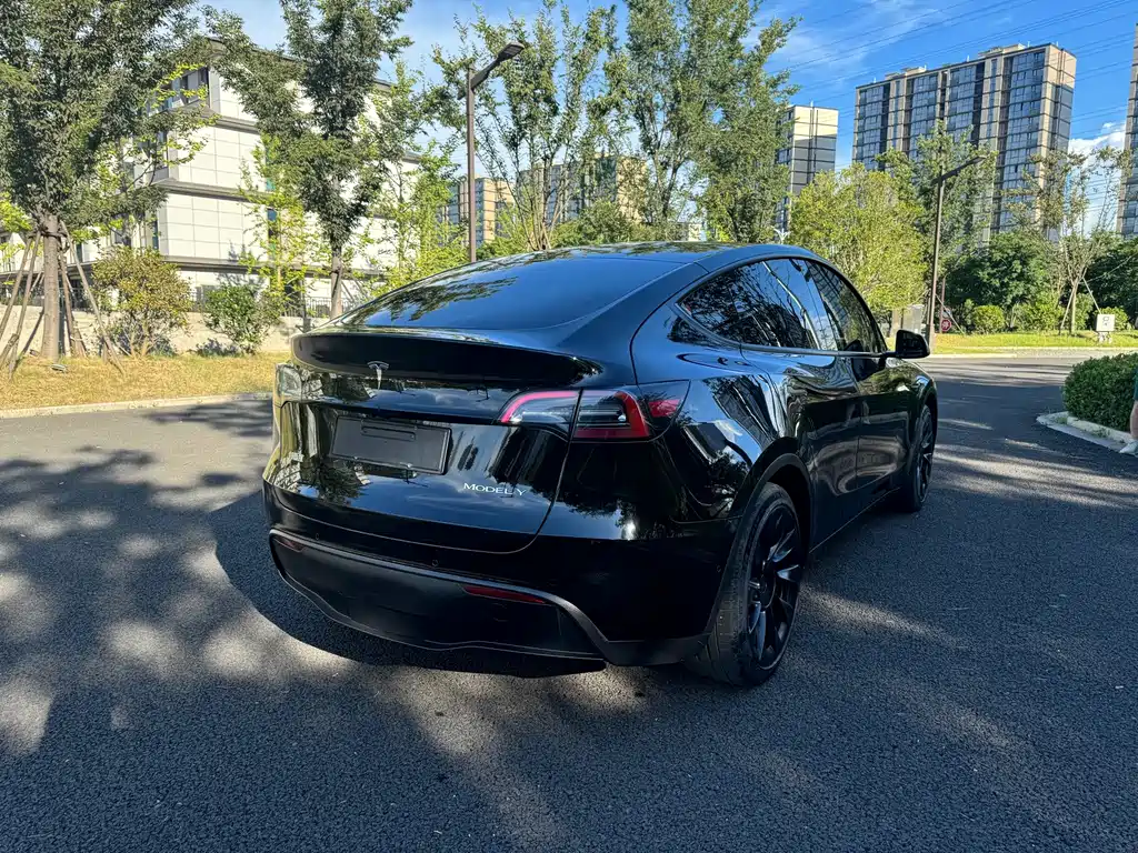 Model Y 2022 rear-wheel drive version купить на сайте DeffCars