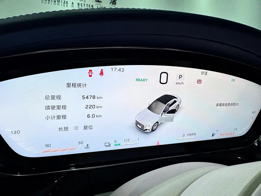 Hongqi Golden Sunflower Guoya 2024 4.0T V8 version купить на сайте DeffCars