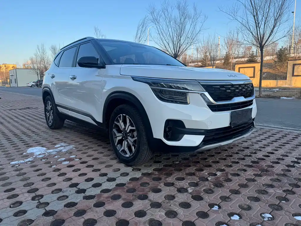 KX3 Propao 2021 1.5L CVT refreshed version купить на сайте DeffCars