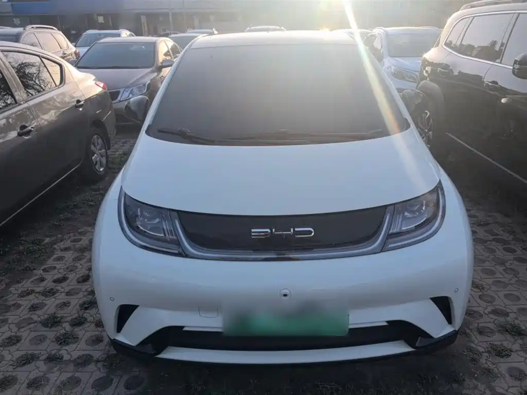 Dolphin 2023 420km Fashion Edition купить на сайте DeffCars
