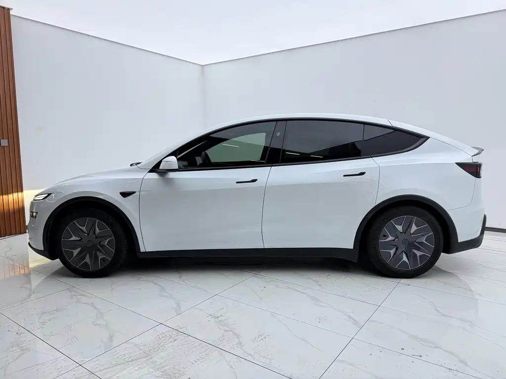 Model Y L 2025 long-range all-wheel drive version купить на сайте DeffCars