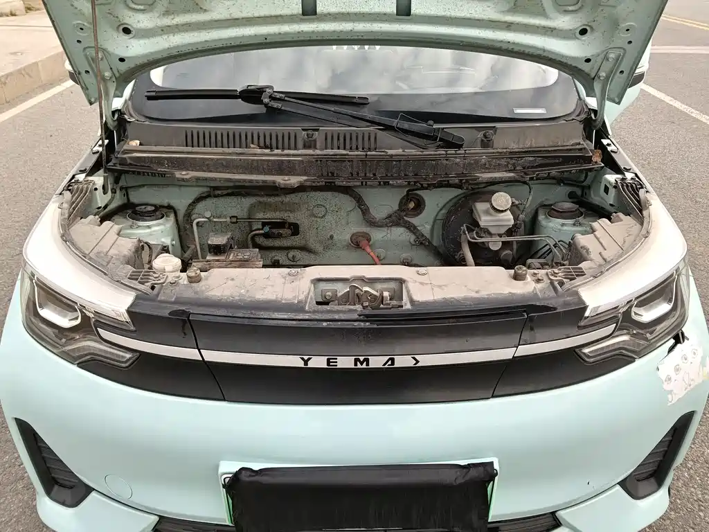 Reading Mango 2021 Qumang Yuedong Edition 200km купить на сайте DeffCars