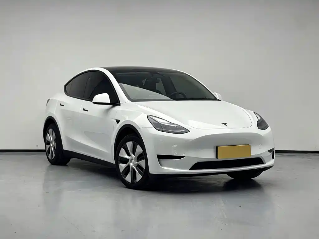 Model Y 2024 rear-wheel drive version купить на сайте DeffCars