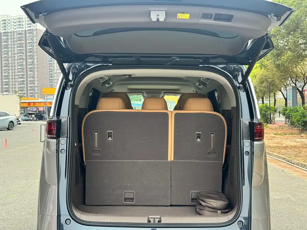 Denza D9 2022 DM-i 1040 Premium Type купить на сайте DeffCars