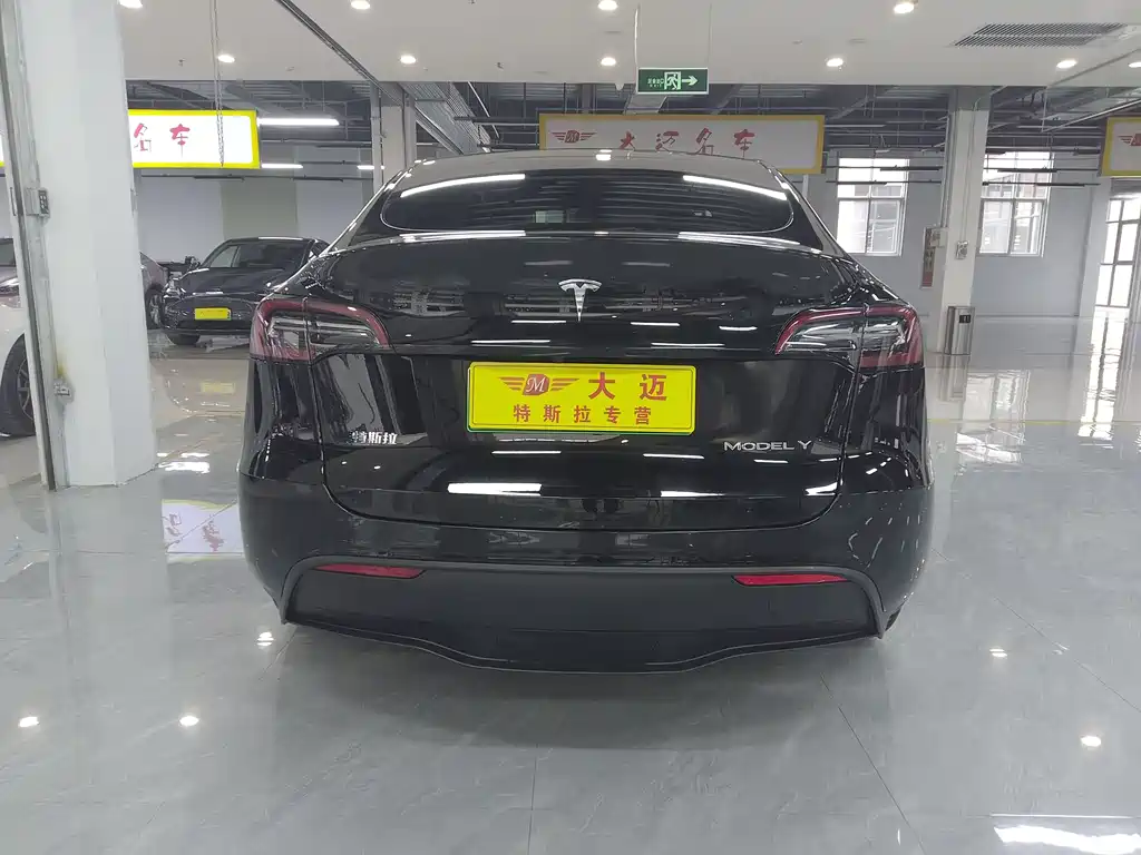 Model Y 2022 rear-wheel drive version купить на сайте DeffCars