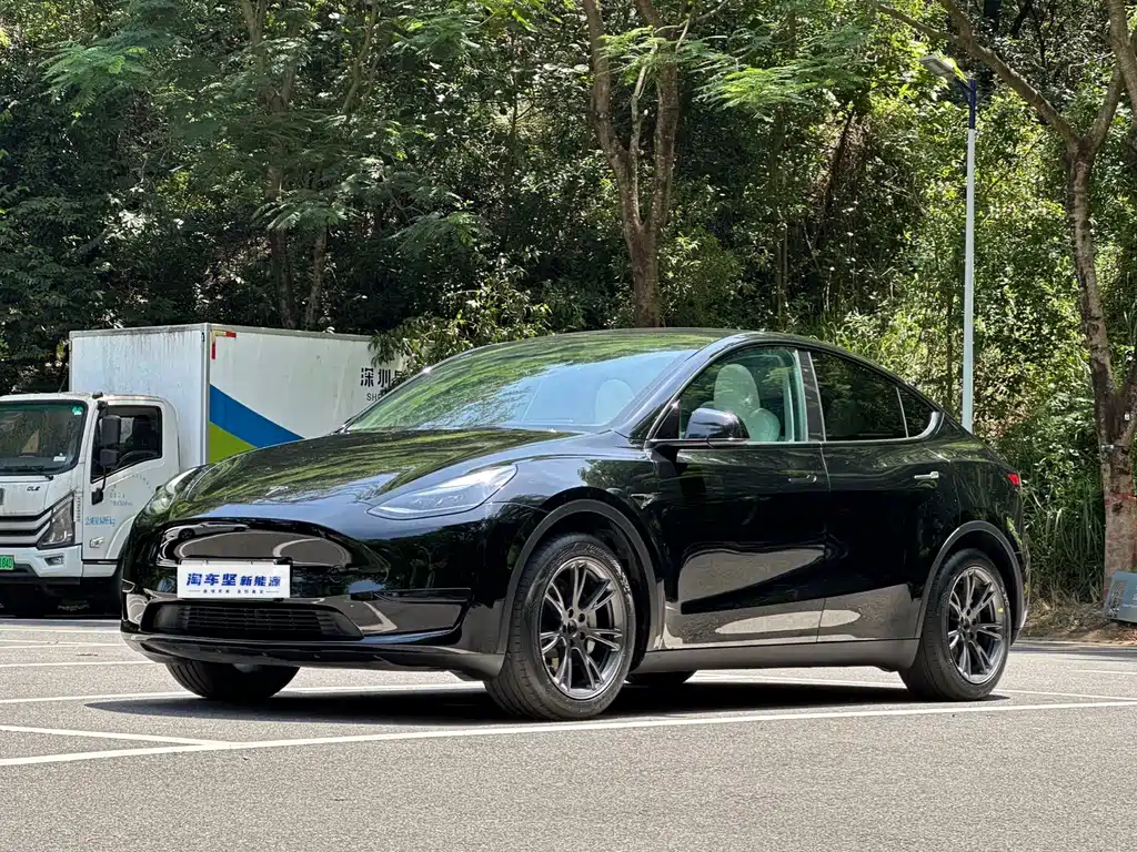 Model Y 2023 rear-wheel drive version купить на сайте DeffCars