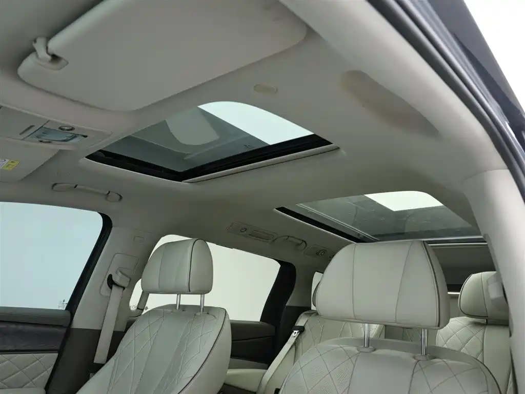 Denza D9 2022 DM-i 1040 Premium Type купить на сайте DeffCars