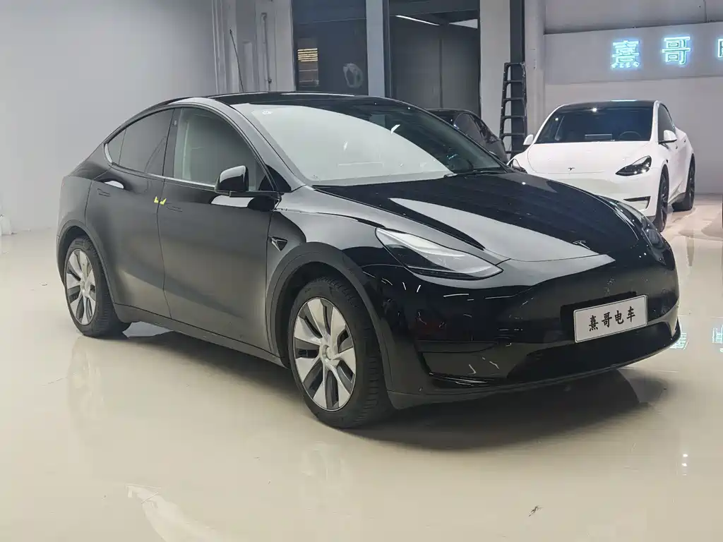 Model Y 2022 rear-wheel drive version купить на сайте DeffCars