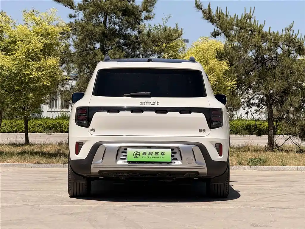smart Elf #5 2024 long-life Qilu luxury version купить на сайте DeffCars