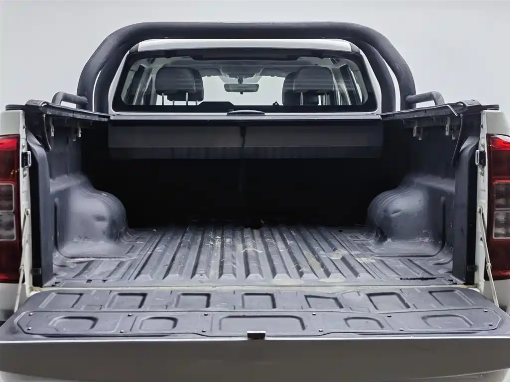 Cannon 2021 2.0T commercial version automatic diesel two-wheel drive elite long box GW4D20M купить на сайте DeffCars