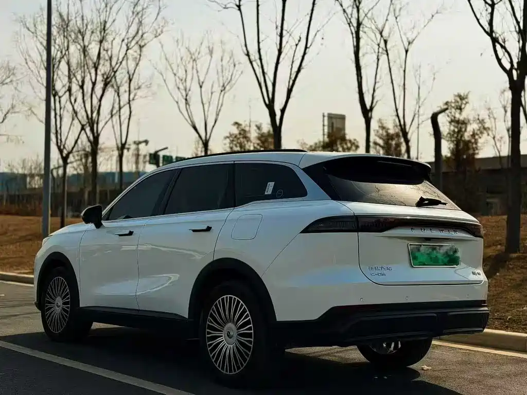 Fengyun T9 2024 model 120 long endurance version comfortable 7 seats ternary lithium купить на сайте DeffCars