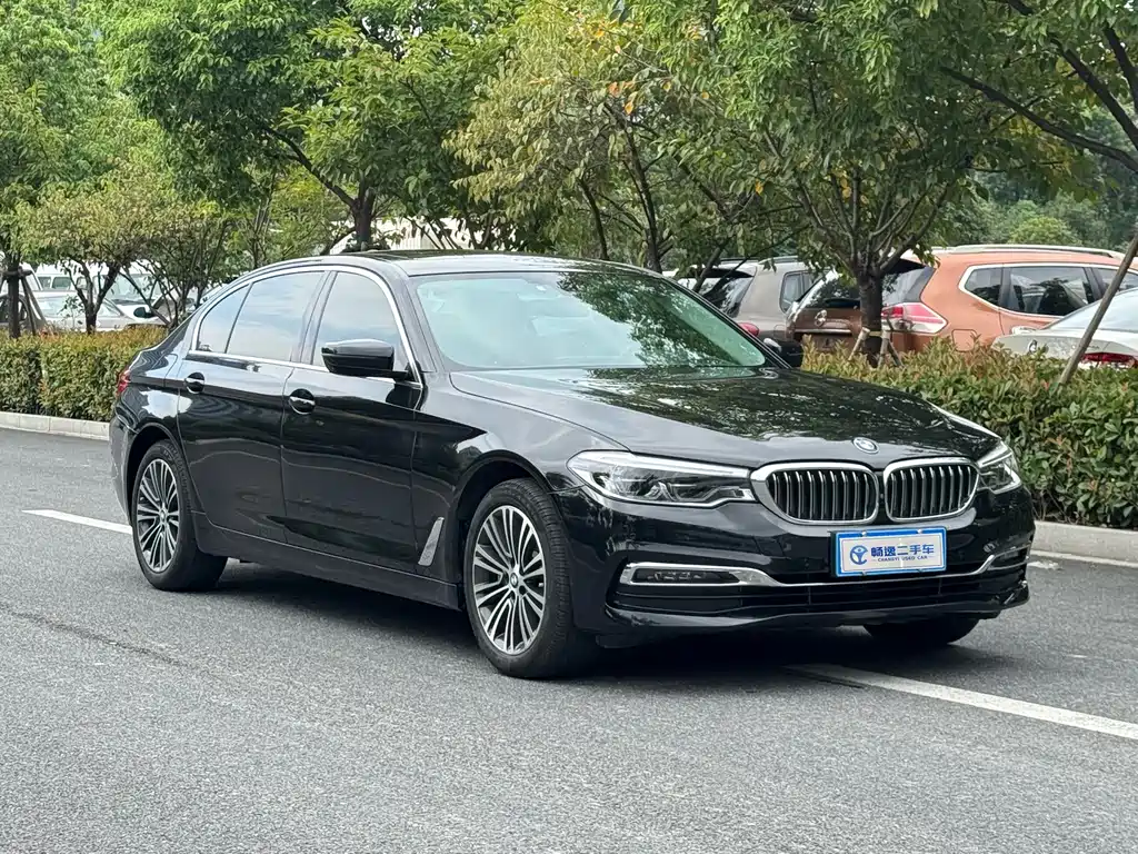 BMW 5 Series 2019 530Li Exclusive Luxury Package купить на сайте DeffCars