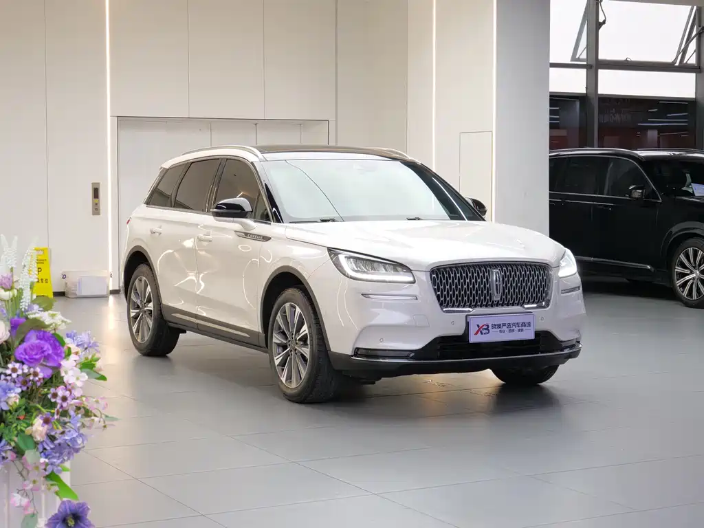 Adventurer 2022 2.0T Two-wheel drive Premium Edition купить на сайте DeffCars