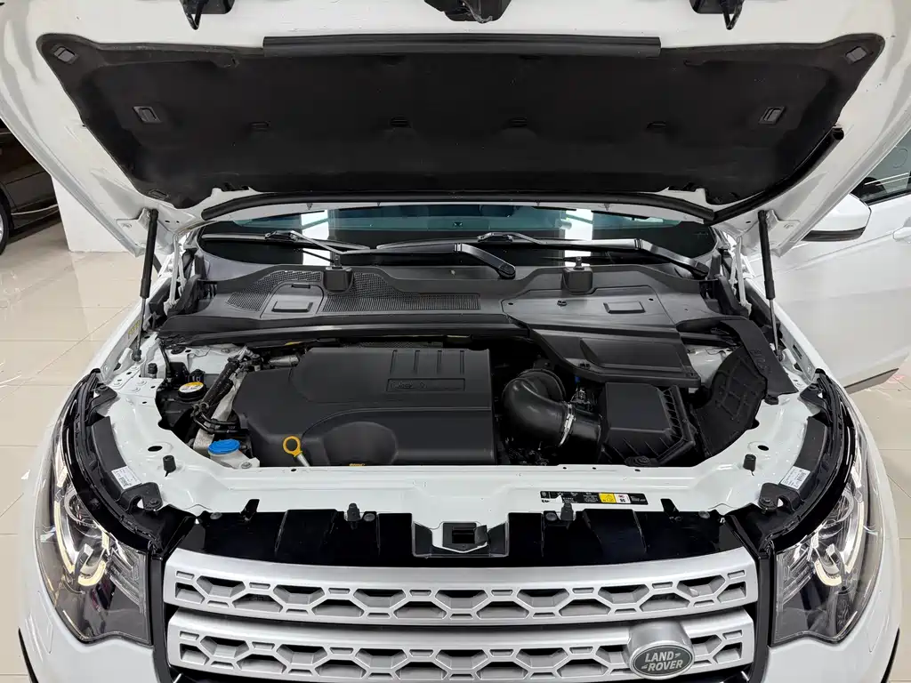 Discovery Shenxing 2018 240PS HSE version купить на сайте DeffCars