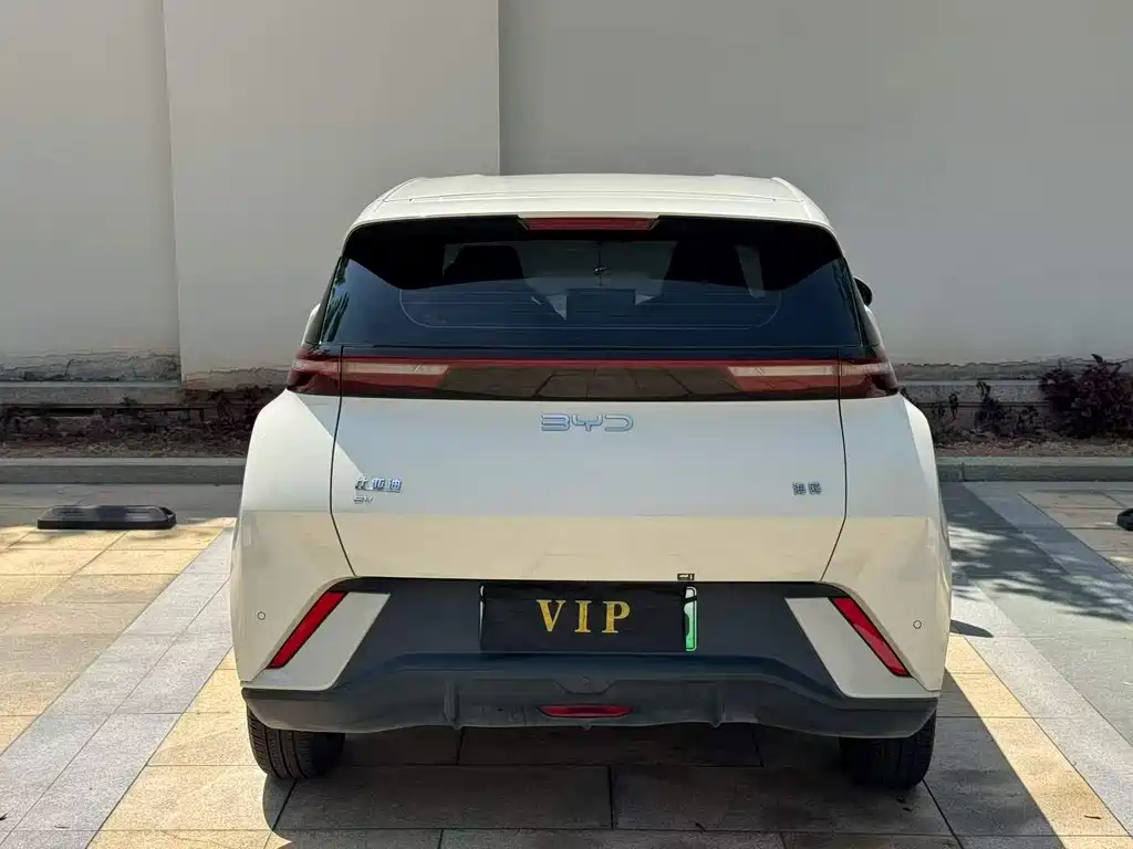 Seagull 2024 Honor Edition 305km Free купить на сайте DeffCars