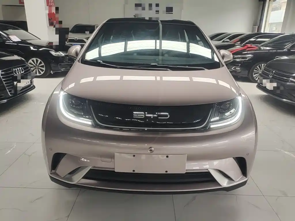 Dolphin 2023 420km Fashion Edition купить на сайте DeffCars