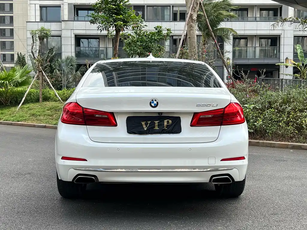 BMW 5 Series 2020 530Li Leading M Sports Package купить на сайте DeffCars